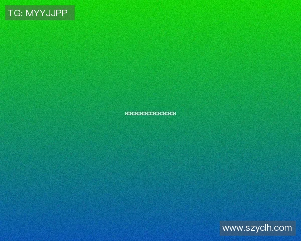 上海排球队阵地战分析:战术得失与未来展望